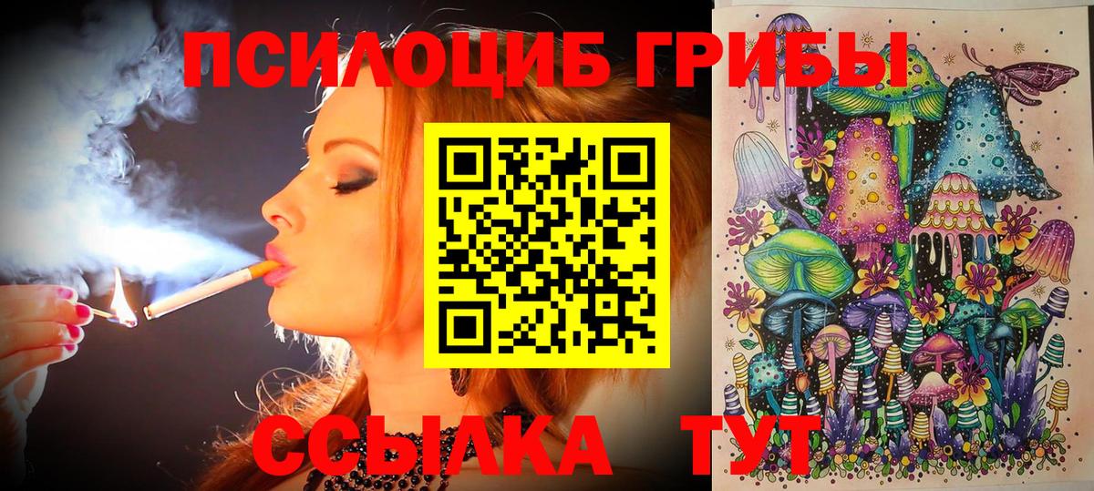 Галлюциногенные грибы GOLDEN TEACHER  Вход с VPN  Москва 