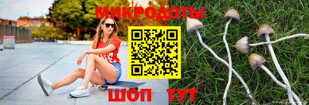 Псилоцибиновые грибы GOLDEN TEACHER Москва